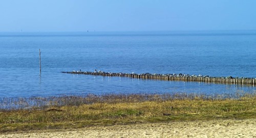 Groyne on the North Sea coast in Cuxhaven Sahlenburg