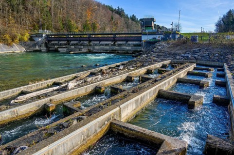 The Iller barrage 5 Fluhmuehle with fish ladder near Altusried