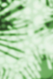 Abstract vertical green background with shade of palm leaves