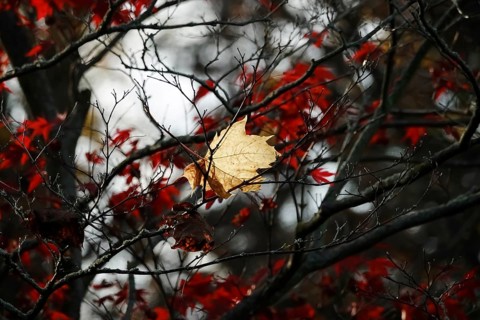 Autumn time
