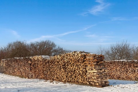 Stacked firewood