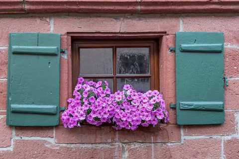 Small window with green shutters and with flower decoration