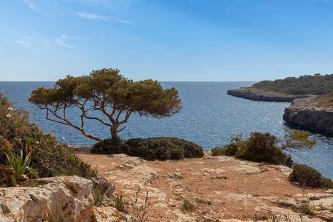 Landscape at Cala Pi