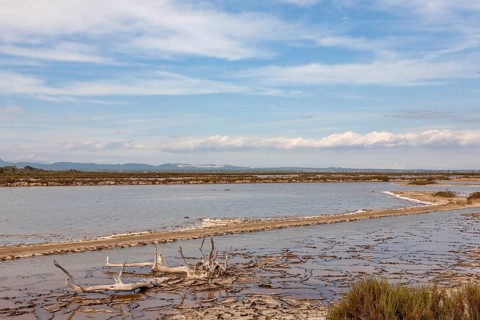 Salobrar de Campos nature park Park