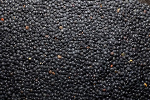 Beluga Lentils