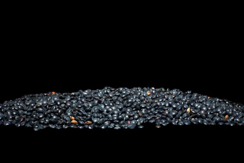Beluga Lentils