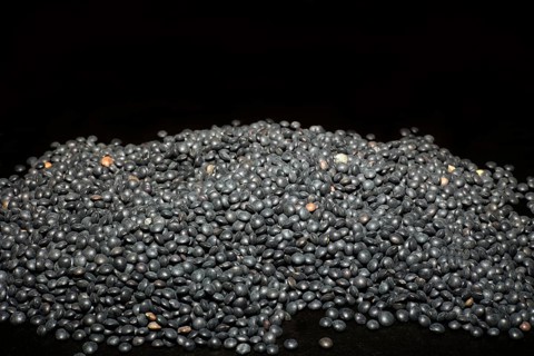 Beluga Lentils