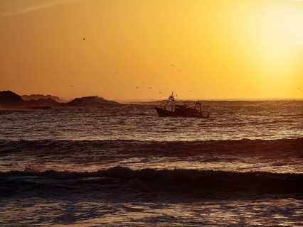 Fishing boat with seagulls