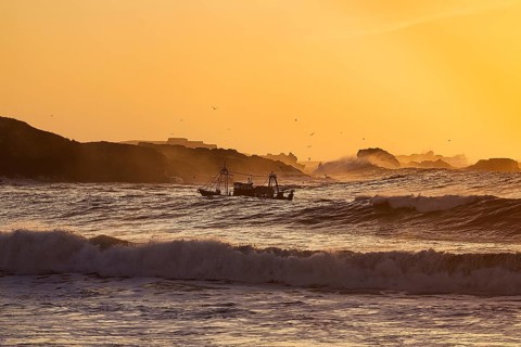 Fishing boat with seagulls between high waves