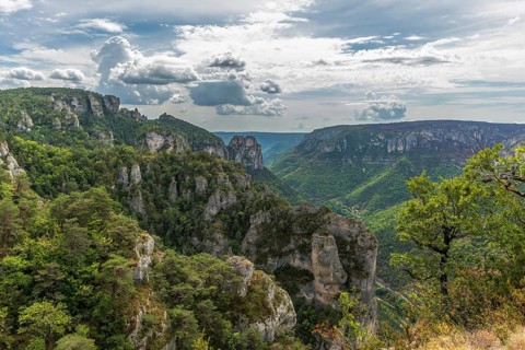 Gorges of Tarn seen from the hiking trail on the rocky outcrops of Causse Mejean above the Tarn Gorge. La bourgarie