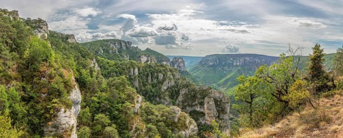 Gorges of Tarn seen from the hiking trail on the rocky outcrops of Causse Mejean above the Tarn Gorge. Panorama. La bourgarie