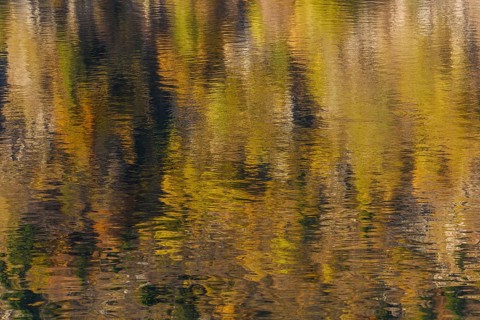 Reflections of trees in the mountain lake on a beautiful autumn day. White Lake