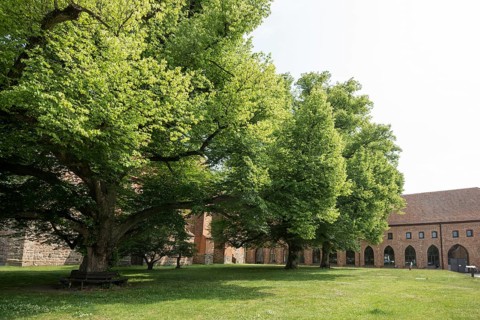 Zarrentin Monastery