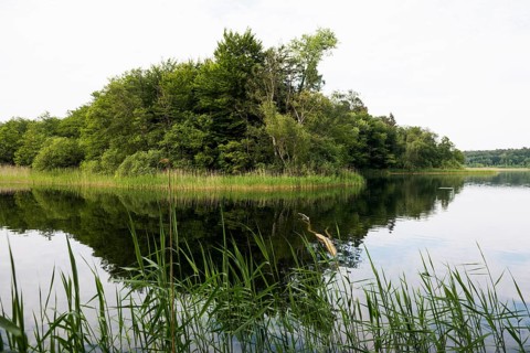 Schaalsee near Seedorf
