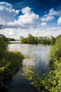 Schaalsee near Lassahn