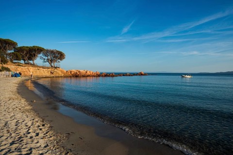 Beach and pines