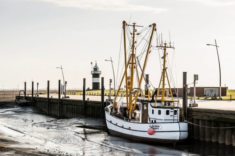 Black and white lighthouse and crab cutter