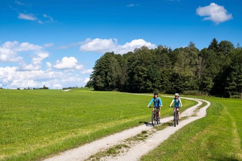 Cyclist