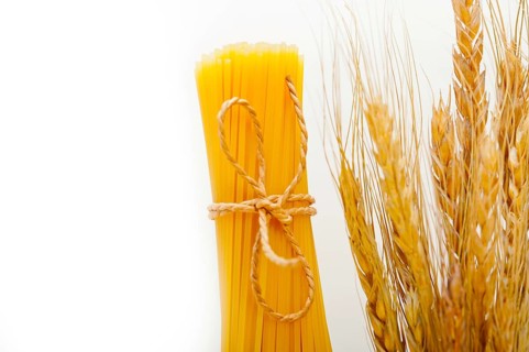 Organic Raw italian pasta and durum wheat grains crop