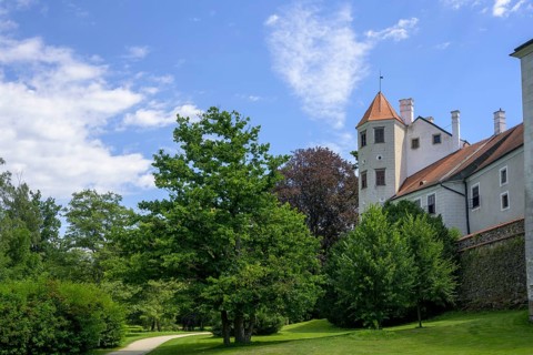 Castle seen from the park