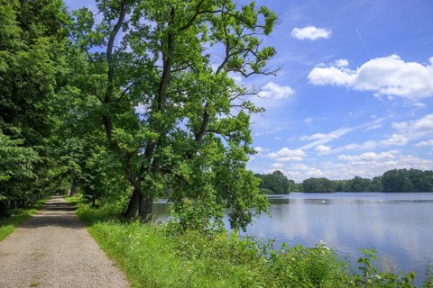 Cycle path by a fish pond
