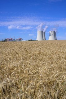 Grain field and cooling towers of the nuclear power plant
