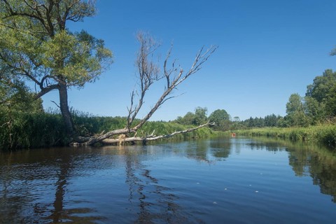 View of the Vltava from a canoe
