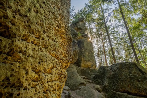 Rock labyrinth Skalni mesto Bludiste