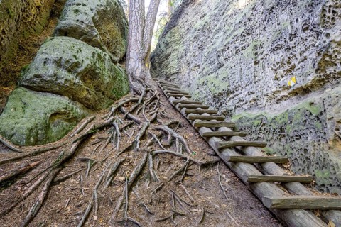 Wooden stairs in the Skalni mesto Bludiste rock labyrinth