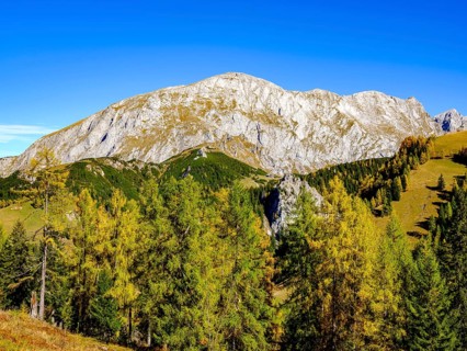 High board above autumnal mountain forest