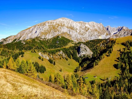 High board above autumnal mountain forest
