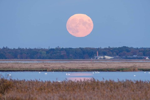 Moonrise