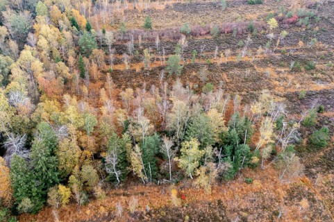 Autumn in the Kendlmuehlfilzen high moor