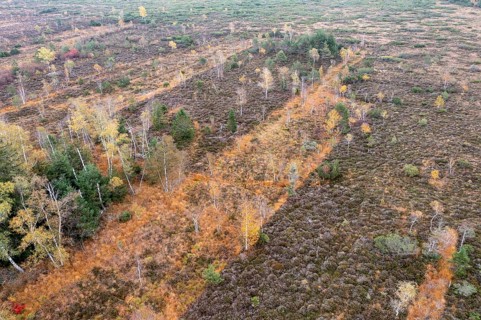 Autumn in the Kendlmuehlfilzen high moor