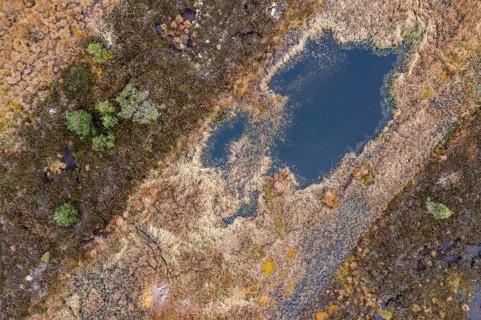 Autumn in the Kendlmuehlfilzen high moor
