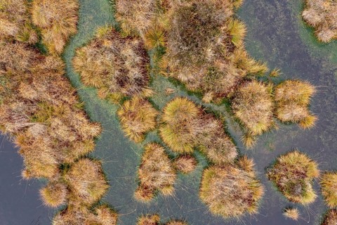 Autumn in the Kendlmuehlfilzen high moor