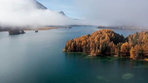 Lake Sils with colourful larches and fog in autumn