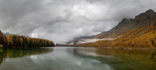 Lake Sils with colourful larches in autumn