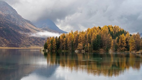 Lake Sils with colourful larches in autumn