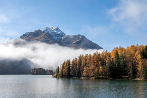 Lake Sils with colourful larches and fog in autumn