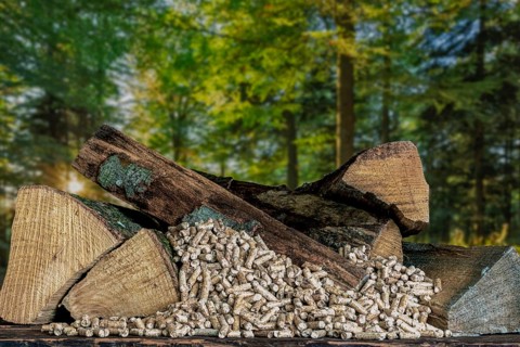 Wood pellets and beech wood
