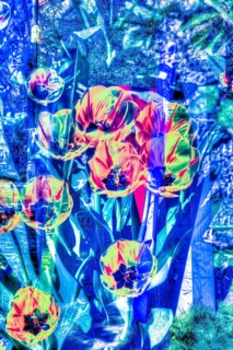 Flowers creative