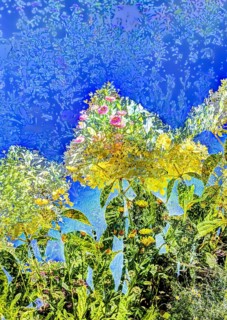 Flowers creative