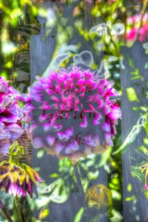 Flowers creative
