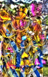 Flowers creative