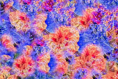 Flowers creative
