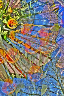 Flowers creative