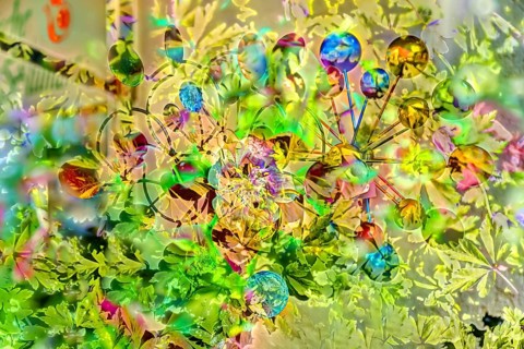 Flowers creative