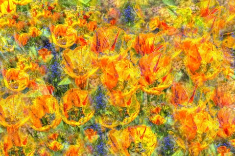 Flowers creative