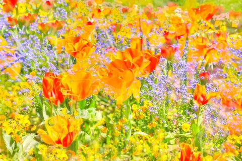 Flowers creative